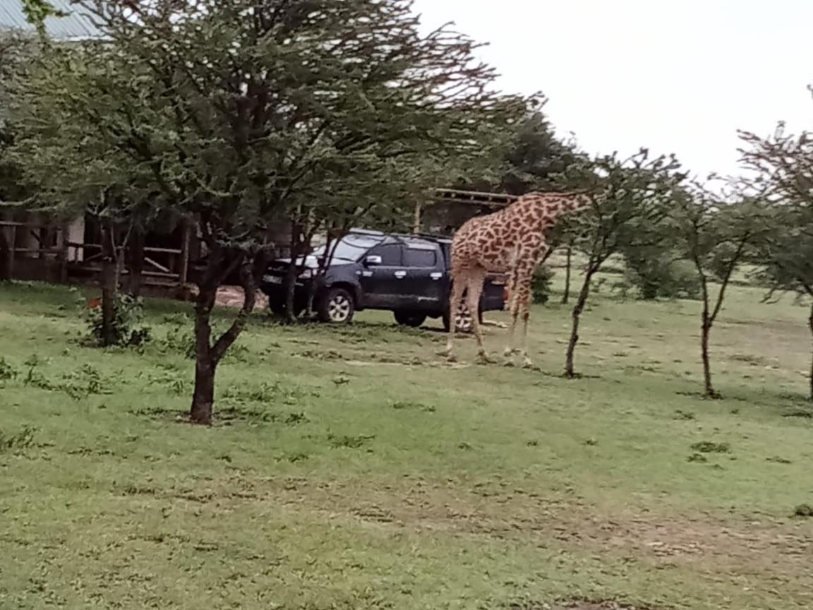 Narasha Homestay - Maasai Mara Talek Extérieur photo