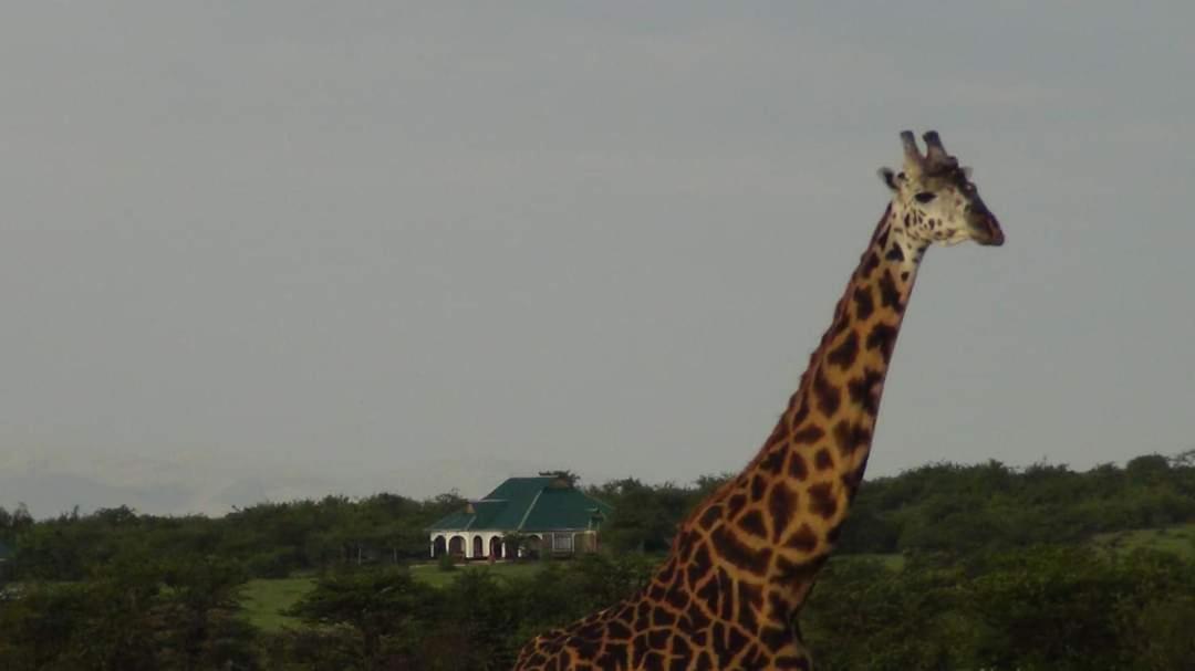 Narasha Homestay - Maasai Mara Talek Extérieur photo