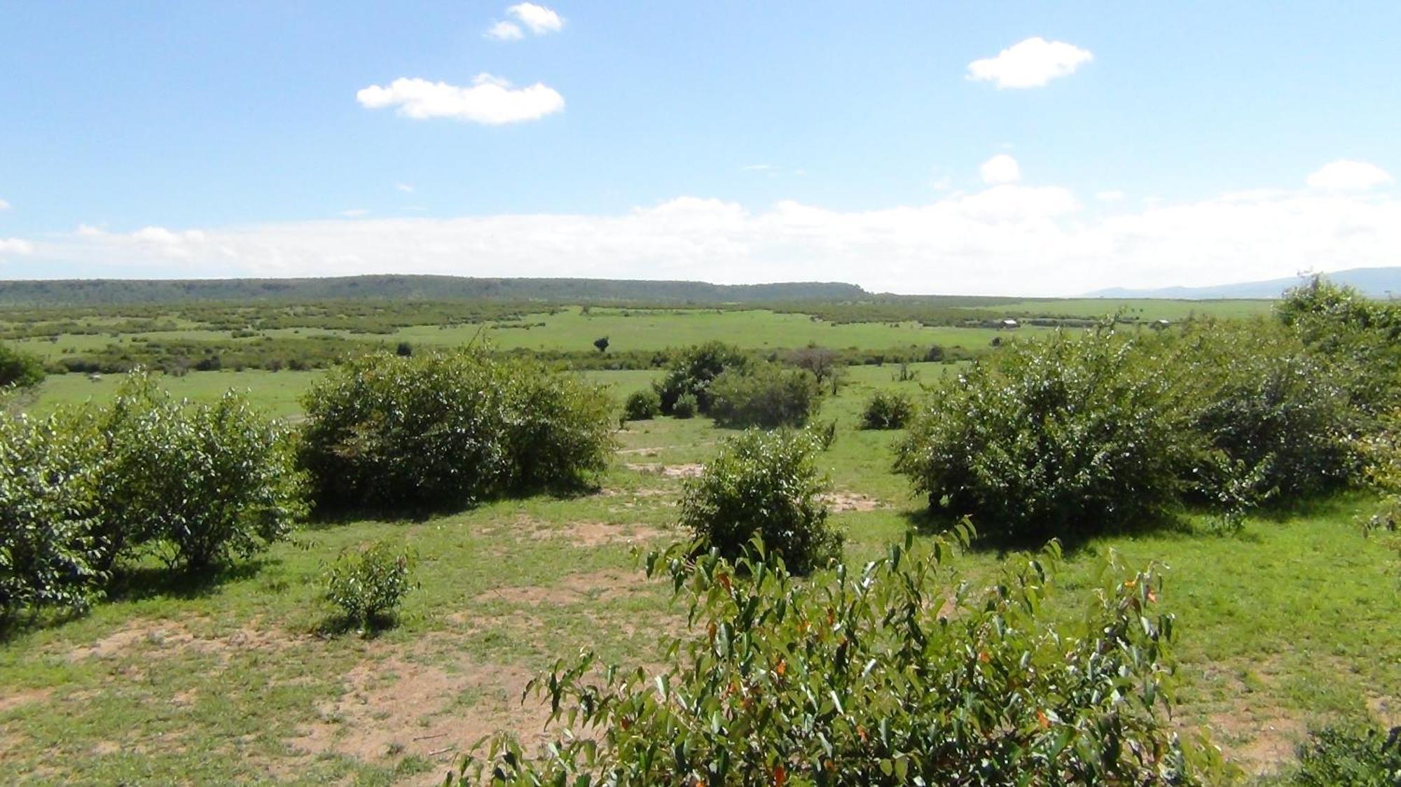 Narasha Homestay - Maasai Mara Talek Chambre photo