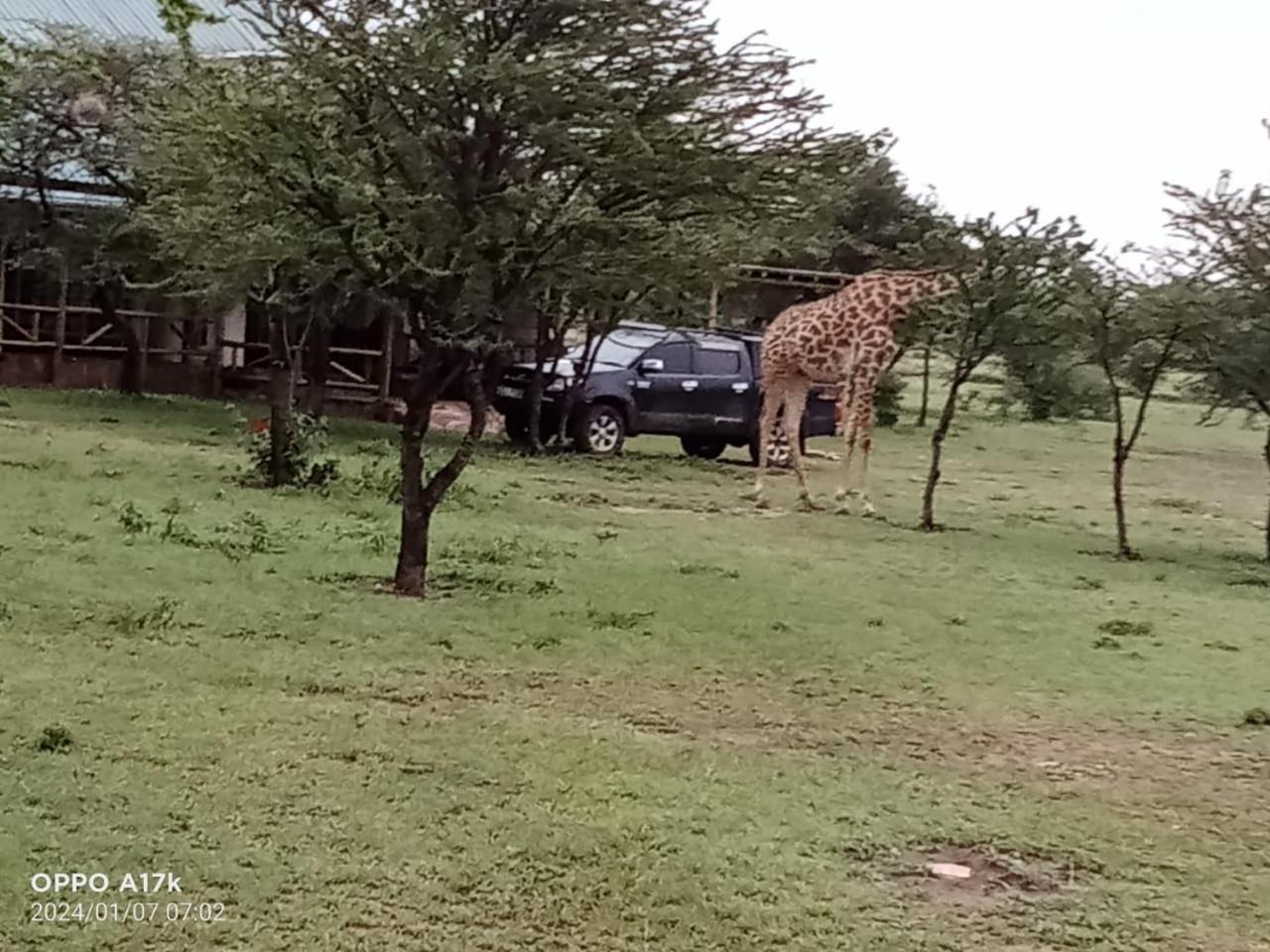 Narasha Homestay - Maasai Mara Talek Chambre photo