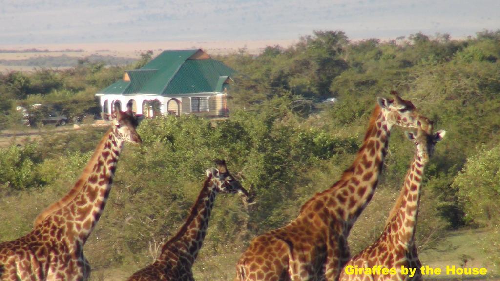 Narasha Homestay - Maasai Mara Talek Extérieur photo