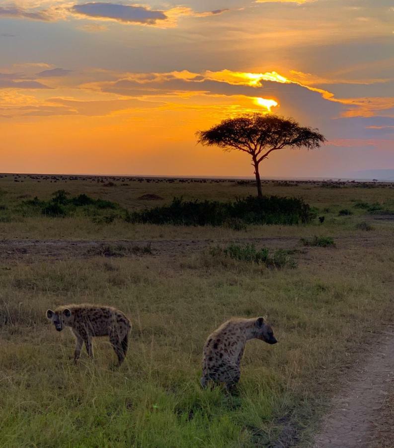 Narasha Homestay - Maasai Mara Talek Extérieur photo